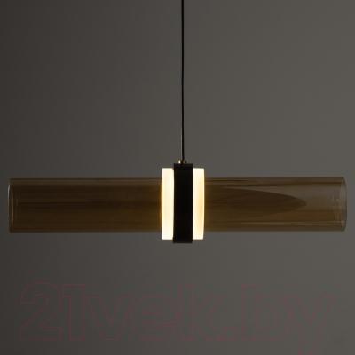 Потолочный светильник BayerLux Дэлли / 9254643