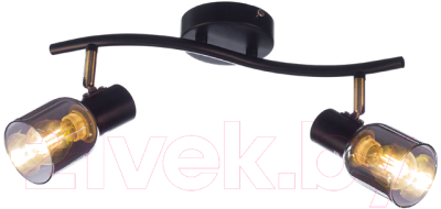 Потолочный светильник Aitin-Pro НПБ 02-2x60-102 / 51976/2 - фото