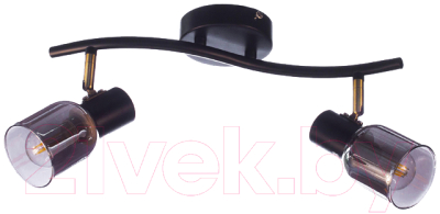 Потолочный светильник Aitin-Pro НПБ 02-2x60-102 / 51976/2