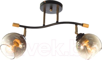 Спот Aitin-Pro НПБ 02-2x60-101 / XA1588B/2 - фото