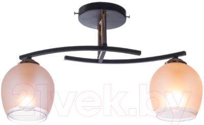 Потолочный светильник Aitin-Pro НПБ 02-2x60-101 / XA1587B/2 - фото