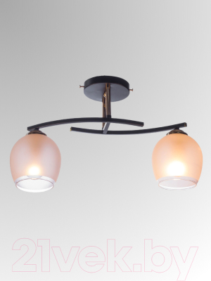 Потолочный светильник Aitin-Pro НПБ 02-2x60-101 / XA1587B/2