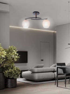 Потолочный светильник Aitin-Pro НПБ 02-2x60-101 / XA1587B/2