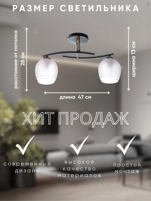 Потолочный светильник Aitin-Pro НПБ 02-2x60-101 / XA1587B/2