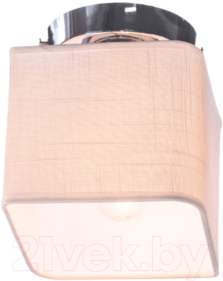 Потолочный светильник Aitin-Pro НПБ 02-60-108 / 2488/1 - фото