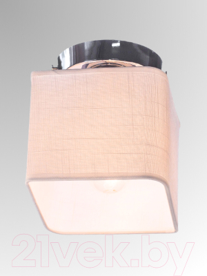 Потолочный светильник Aitin-Pro НПБ 02-60-108 / 2488/1