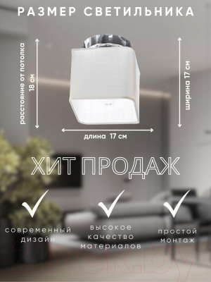 Потолочный светильник Aitin-Pro НПБ 02-60-108 / 2488/1