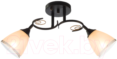 Потолочный светильник Aitin-Pro НПБ 02-2x60-101 / 70140/2 - фото