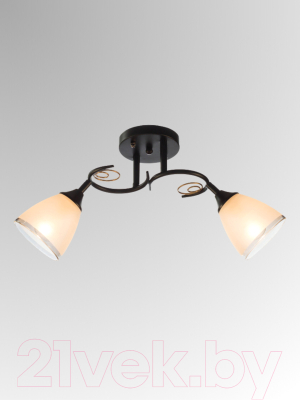 Потолочный светильник Aitin-Pro НПБ 02-2x60-101 / 70140/2