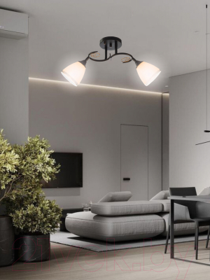 Потолочный светильник Aitin-Pro НПБ 02-2x60-101 / 70140/2