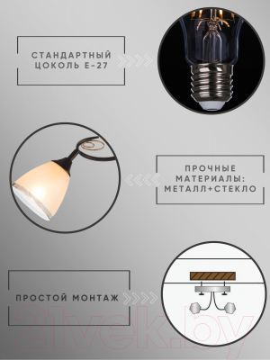 Потолочный светильник Aitin-Pro НПБ 02-2x60-101 / 70140/2