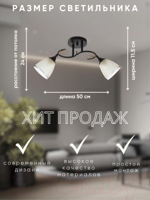 Потолочный светильник Aitin-Pro НПБ 02-2x60-101 / 70140/2