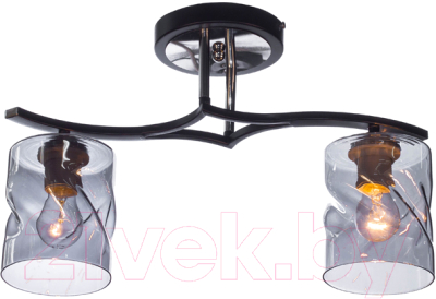 Потолочный светильник Aitin-Pro НПБ 02-2x60-101 / 2663/2 - фото