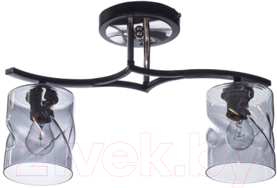 Потолочный светильник Aitin-Pro НПБ 02-2x60-101 / 2663/2