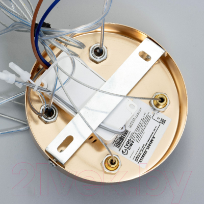 Потолочный светильник BayerLux Ланел / 9216959