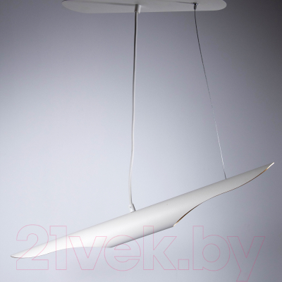 Потолочный светильник Элетех Мишель НСБ 01-2x25-103 G9 / 1005405372