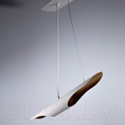 Потолочный светильник Элетех Мишель НСБ 01-2x25-103 G9 / 1005405372