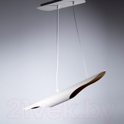 Потолочный светильник Элетех Мишель НСБ 01-2x25-103 G9 / 1005405372