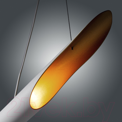 Потолочный светильник Элетех Мишель НСБ 01-2x25-103 G9 / 1005405372