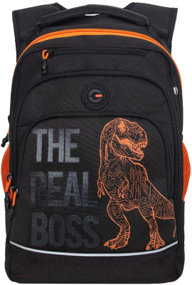 Школьный рюкзак Grizzly RB-450-3 - фото