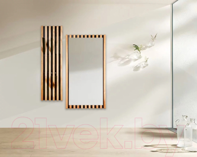 Зеркало Dipriz Piaforte Д.68027.1