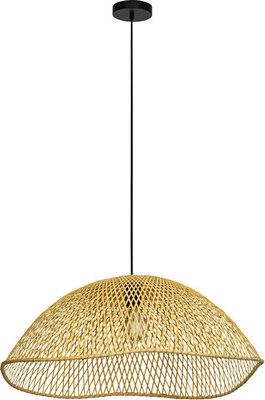 Потолочный светильник Eglo Sambucona 390236 - фото