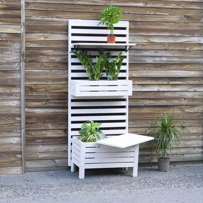 Сундук Dipriz Д.25044