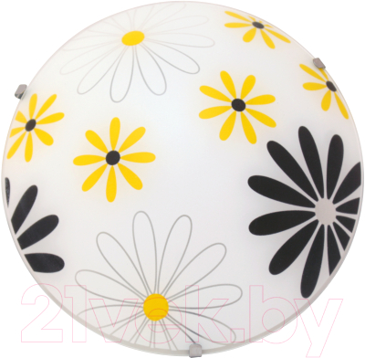 Потолочный светильник Элетех Колорика Арин 250 LED 18 M15 / 1030450400 - фото