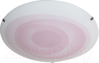 Потолочный светильник Элетех Колорика Хелен 300 LED 24 M02 / 1030450401 - фото