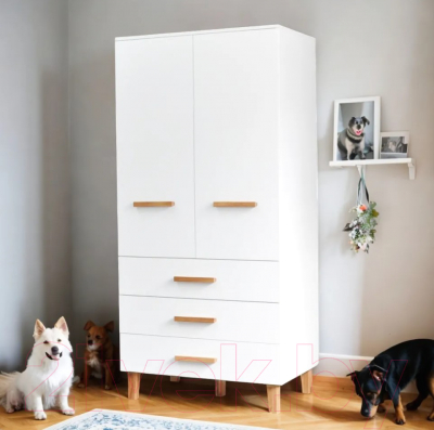 Шкаф Dipriz Liri Д.70136.1