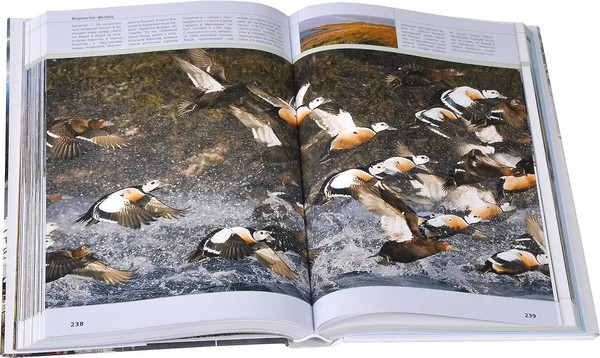 Путеводитель Рипол Классик Лучшие маршруты Скандинавии, твердая обложка