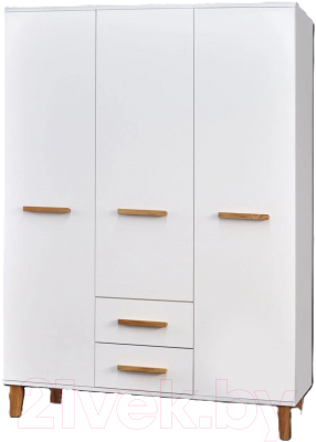 Шкаф Dipriz Д.70134.1 - фото