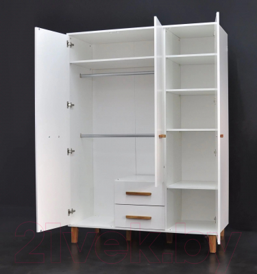 Шкаф Dipriz Д.70134.1