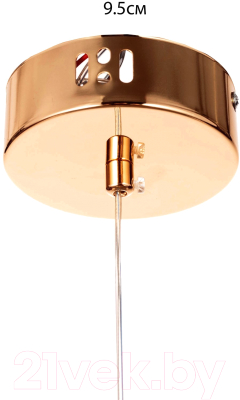 Потолочный светильник BayerLux Роя / 9215188