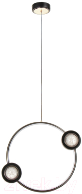 Потолочный светильник BayerLux Самбер / 9254652 - фото