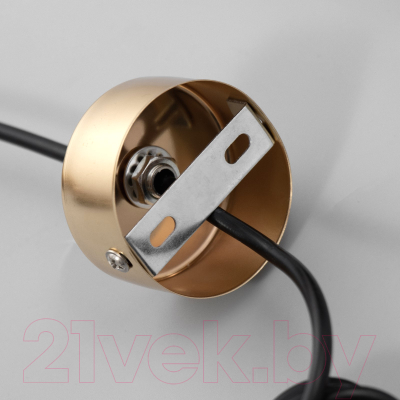 Потолочный светильник BayerLux Титан / 4360242