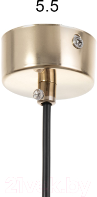 Потолочный светильник BayerLux Титан / 4360242