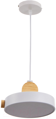 Потолочный светильник BayerLux 2034842/1 / 4642594 - фото