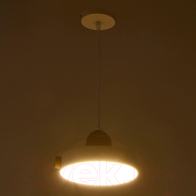 Потолочный светильник BayerLux 2034842/1 / 4642594