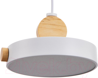 Потолочный светильник BayerLux 2034842/1 / 4642594