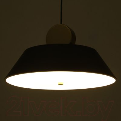 Потолочный светильник BayerLux 2283/1 / 7363944