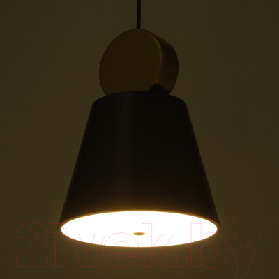 Потолочный светильник BayerLux 2285/1b / 7363946