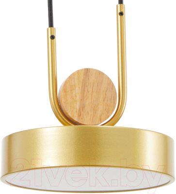 Потолочный светильник BayerLux 35425/1 / 4941226