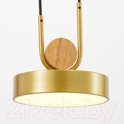 Потолочный светильник BayerLux 35425/1 / 4941226