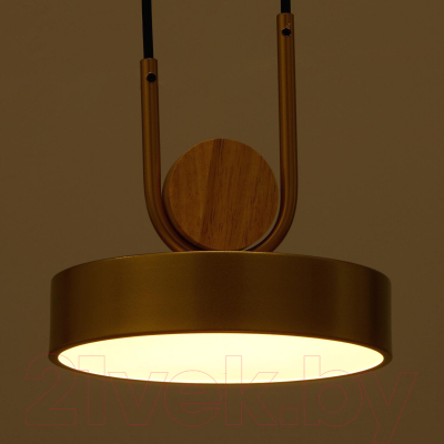 Потолочный светильник BayerLux 35425/1 / 4941226