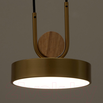 Потолочный светильник BayerLux 35425/1 / 4941226