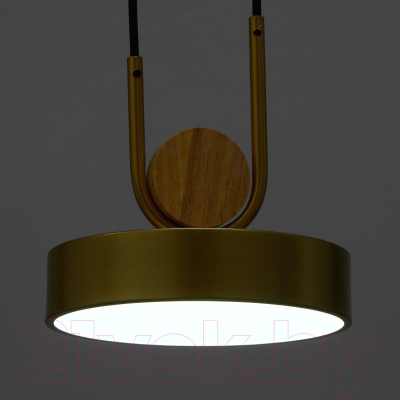 Потолочный светильник BayerLux 35425/1 / 4941226