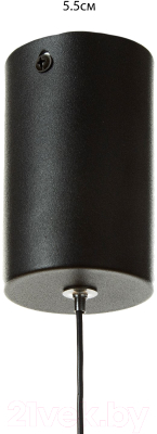 Потолочный светильник BayerLux Алекса / 9802174