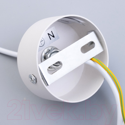 Потолочный светильник BayerLux Дарина / 9802187