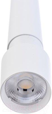 Потолочный светильник BayerLux Кельна / 9802170